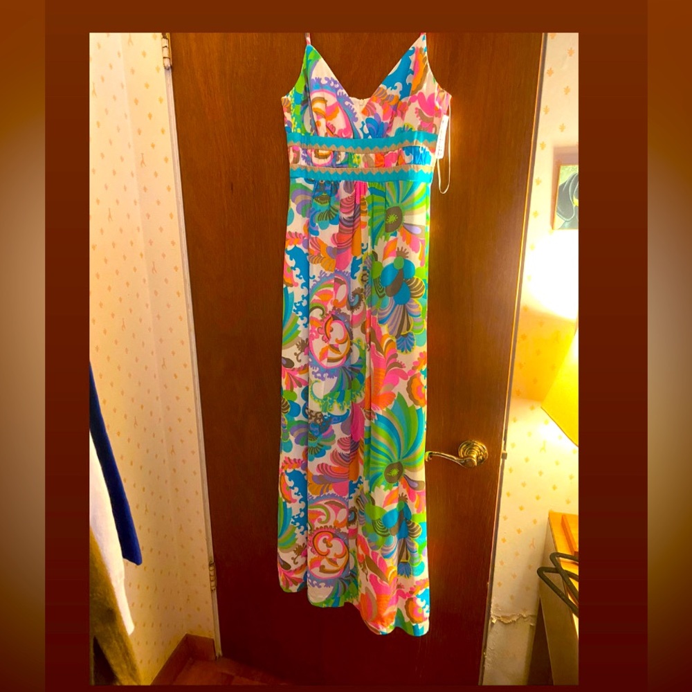 Gorgeous Trina Turk maxi dress!